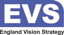 England Vision Strategy Logo